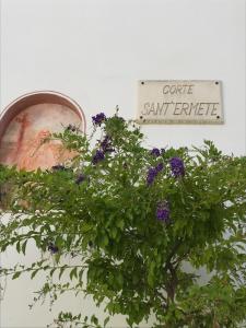 马蒂诺La Corte Bianca的读三法郎的标志和紫色花卉的植物