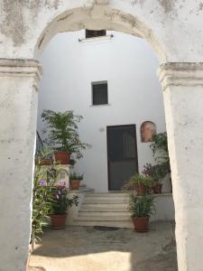 马蒂诺La Corte Bianca的建筑前方有盆栽的拱门