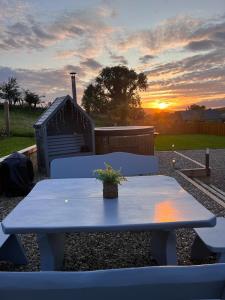 奥马Kingarrow Cottage的蓝色野餐桌,上面有盆栽植物