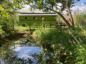 WilpEcostay de Wildernis的一座绿色房子,前面有一个池塘