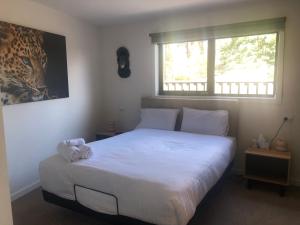 朗塞斯顿Luxe & Superior 2BR Villas Patio Free Parking & Wifi的一间卧室配有一张带白色床单的床和一扇窗户。