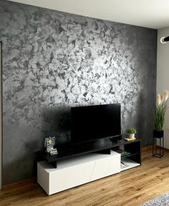 温科夫齐Apartman Star #1的客厅设有壁挂式平面电视。
