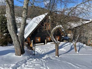 奇奇马尼Chalupa Čičmany的小木屋,设有雪盖屋顶