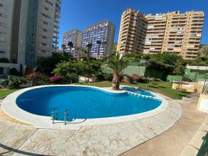 卡拉德费斯特拉特Apartamento Benidorm con piscina en la playa的一座位于城市的游泳池,有高大的建筑