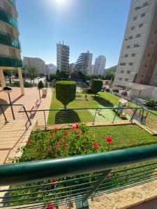 卡拉德费斯特拉特Apartamento Benidorm con piscina en la playa的享有鲜花和建筑公园的景色