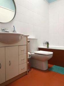 奥维多Casa de los Chilenos的一间带卫生间、水槽和镜子的浴室