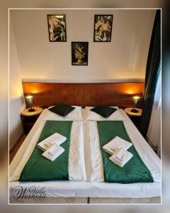 斯克拉斯卡波伦巴沃尔奈拉别墅水疗酒店的床上有两张绿色枕头