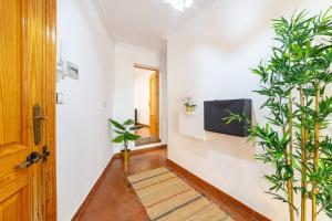 阿尔么丽亚Casa Maruchi - Apartamento的走廊上种有盆栽植物,门上有一扇门