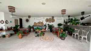 雅帕拉廷加Sollaris Ecopousada的配有桌椅和盆栽植物的房间