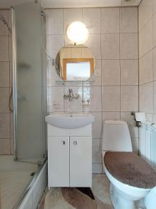 Leśnicau Marii Gał的一间带卫生间、水槽和镜子的浴室