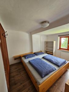 霍茨科波霍尔耶Ruška koča的一间卧室配有一张带蓝色枕头的大床