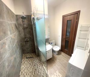 克拉约瓦CRISTAL Home Boutique Apartment 1 - Confort, Spatios, Linistit, Zona de interes的浴室设有玻璃淋浴间和卫生间