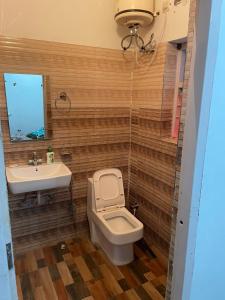TāoruGreenwood Stay的一间带卫生间和水槽的浴室