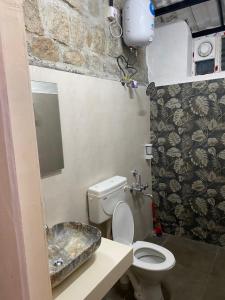 耶拉吉里Yelagiri Villa的一间带卫生间和水槽的小浴室
