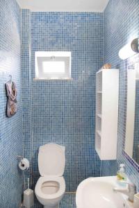 锡蒂亚Terrace house的蓝色瓷砖浴室设有卫生间和水槽