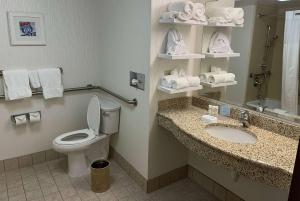 圣安Wingate by Wyndham St Louis Airport的浴室设有卫生间、水槽和毛巾
