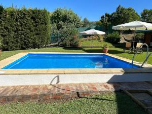 马拉加Casa Rural Cupiana Piscina privada Malaga的草地上的蓝色游泳池,带雨伞