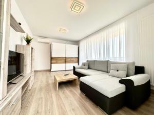 布拉索夫Urban Plaza Astra - Rise Private Apartments & Suites的带沙发和电视的客厅