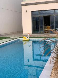 富查伊拉Great Escape for family and friends 4BR Villa with Private Pool and Sea View的一座游泳池里有一个天鹅和一个橡皮鸭