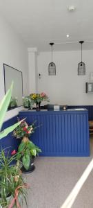 里摩日Hôtel de France的一间房间里装有盆栽植物的蓝色柜台