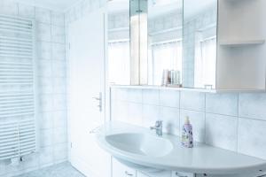 莫里茨堡Hof Türke的白色的浴室设有水槽和镜子