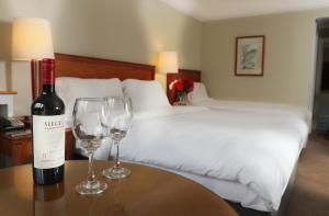 邓多克Ballymascanlon Hotel and Golf Resort的在酒店房间桌子上放一瓶葡萄酒和两杯酒