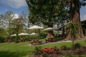 邓迪Invercarse Hotel Dundee, BW Signature Collection的一个带野餐桌和遮阳伞的公园