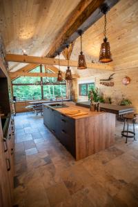 WischesChalet : le moulin du sagard的小屋内带大岛的开放式厨房