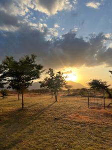 Tsavo West National ParkLake Jipe Eco Lodge的日落时分在田野里树群