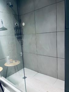 温特和克ModernLuxe Apartment的浴室里设有玻璃门淋浴