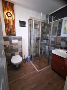 BöchingenLandhaus Messerschmitt的带淋浴、卫生间和盥洗盆的浴室
