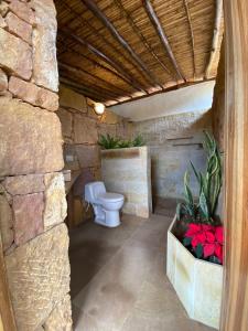 巴里查拉El Principito Hospedaje的浴室设有卫生间,石墙内种有鲜花。