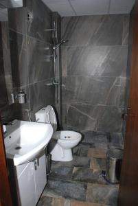 下米拉诺瓦茨Dunavska Vila Milosavljevic的浴室配有卫生间、盥洗盆和淋浴。
