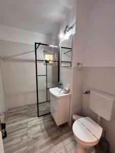 普雷代亚尔Sweet Home Apartament的一间带卫生间、水槽和镜子的浴室