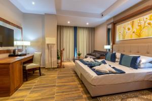 阿尔及尔Hotel Hammamet的配有一张床和一张书桌的酒店客房