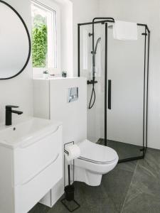 莫斯纳Domek Moszna的白色的浴室设有卫生间和淋浴。