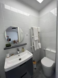 埃梅Le Patio d’Eymet的一间带水槽、卫生间和镜子的浴室