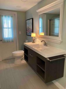 马可岛Stylish & Cheerful Marco Home w/ Awesome Location的一间带水槽、卫生间和镜子的浴室