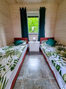 米兹多洛杰Kolonijna Park的带窗户的客房内的两张床