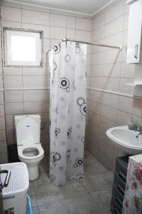 布尔贾丽卡Apartmani Jelena, Buljarica的一间带卫生间和淋浴帘的浴室