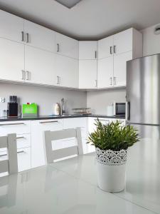 克拉科夫Apartment Szwed-Sniadowskiej Residence的一间厨房,厨房内有白色的橱柜和植物盆
