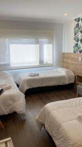 里奥夸尔托Apart IMEB spa & wellness的一间卧室设有三张床和窗户。