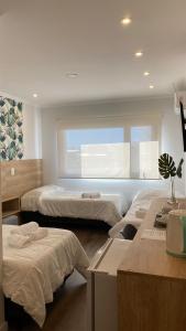 里奥夸尔托Apart IMEB spa & wellness的酒店客房设有三张床和窗户。