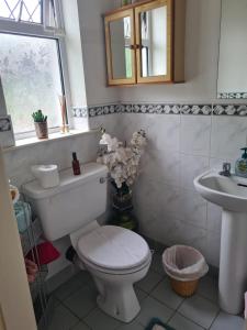 塔拉莫尔Coreen Guest House的一间带卫生间和水槽的浴室