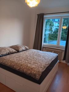 杜塞尔多夫Spacious 70sqm apt in popular location的一间卧室设有一张床和一个大窗户