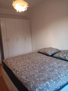 杜塞尔多夫Spacious 70sqm apt in popular location的一间卧室配有一张床和一个吊灯