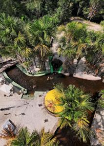 ManacapuruCirandeira Amazon World EcoResort的享有棕榈树公园和游泳池的顶部景色
