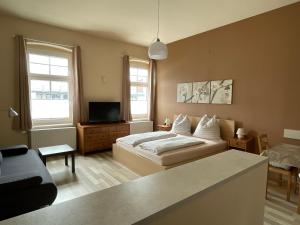 克拉根福Stadtapartment WOHNEN48.AT的一间卧室配有一张床、一张沙发和一台电视。