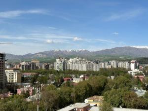 杜尚别Dushanbe City View Apartments的一座有建筑和山脉背景的城市