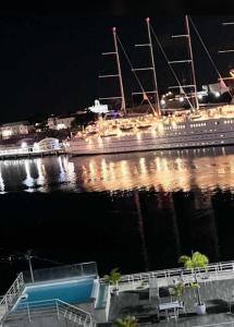 圣多明各Mirador Colonial, en Riviera Colonial的游轮在夜间停靠在码头
